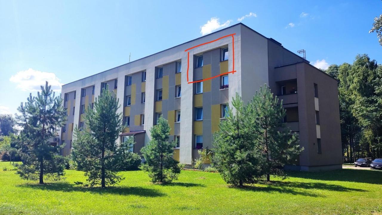 Dabintos Apartament Друскінінкай Екстер'єр фото